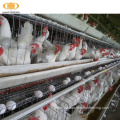 Haiao high security poultry cages chicken layer cage